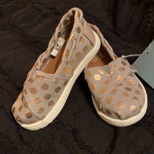 NWT TOMS SNEAKERS spring/summer Toddler size 6